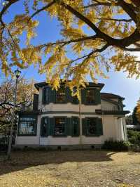 🏛️【神奈川・横浜 山手の洋館めぐり】まるで異国に迷い込んだような、歴史とロマンの街歩き旅