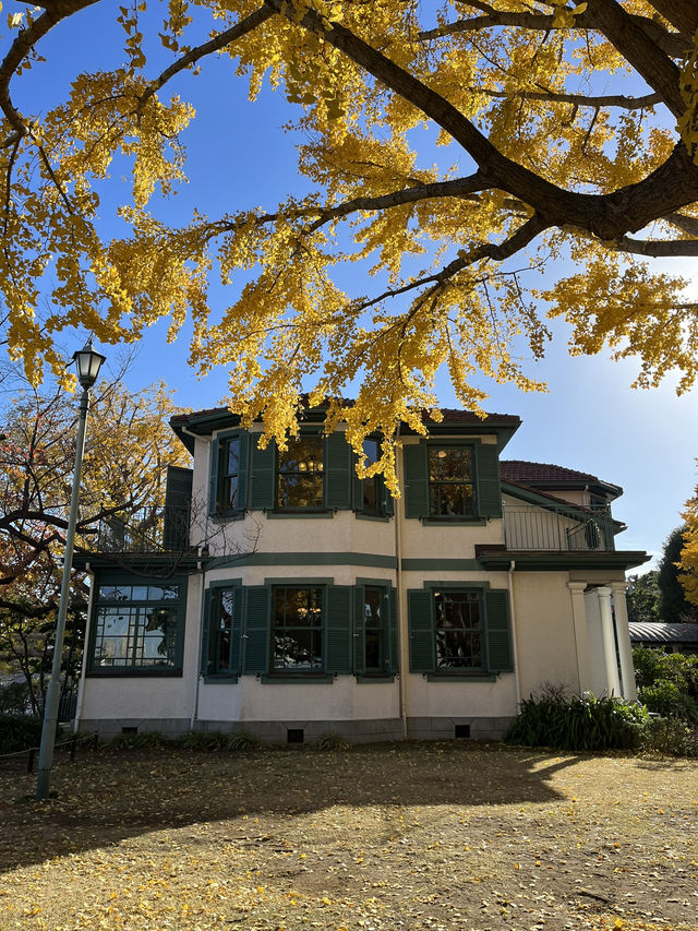 🏛️【神奈川・横浜 山手の洋館めぐり】まるで異国に迷い込んだような、歴史とロマンの街歩き旅