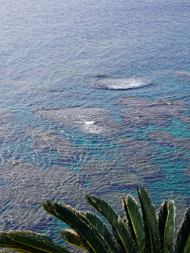 海・空・風、すべてがご褒美。Yuukiの丘から眺める与論ブルー