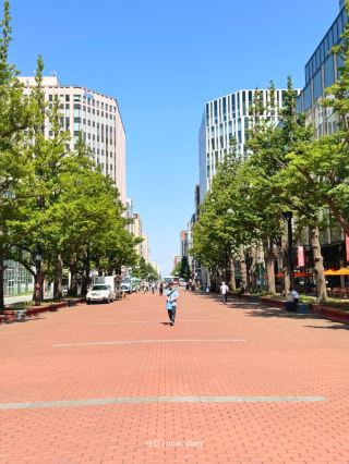  ☀️ 여름 삿포로, 왜 가야 할까요?