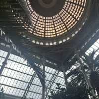 Museum Hopping in Copenhagen: My Time at Ny Carlsberg Glyptotek! 🇩🇰🖼️