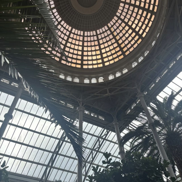 Museum Hopping in Copenhagen: My Time at Ny Carlsberg Glyptotek! 🇩🇰🖼️