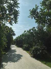 Ninh Thuận 2025