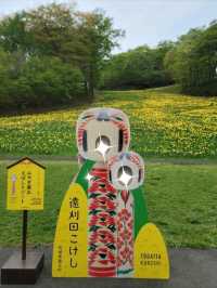 【宮城】みやぎ蔵王えぼしリゾートすいせん祭り