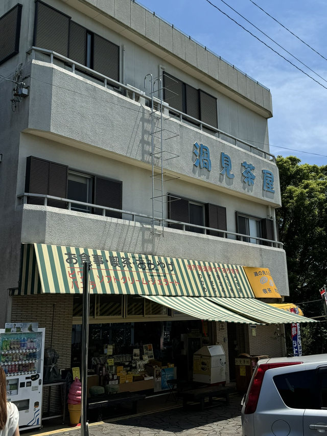 【徳島🇯🇵】400年以上の歴史を待つ「阿波踊り」に会いに。