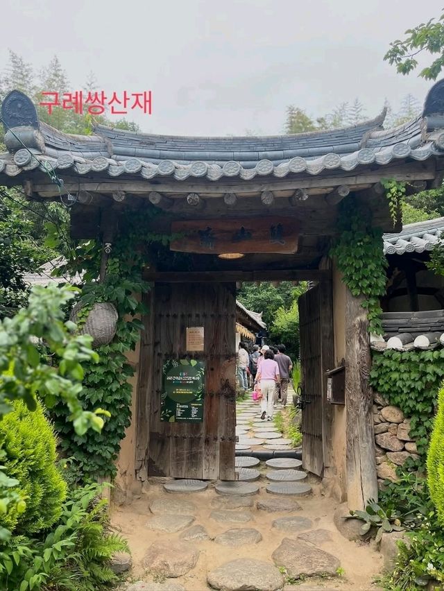 Forest Paths, Temple Vibes, and Total Peace Mode**