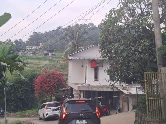 View around Bogor rural areas