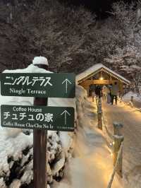 A Fairytale in the Forest: My Magical Visit to Ningle Terrace