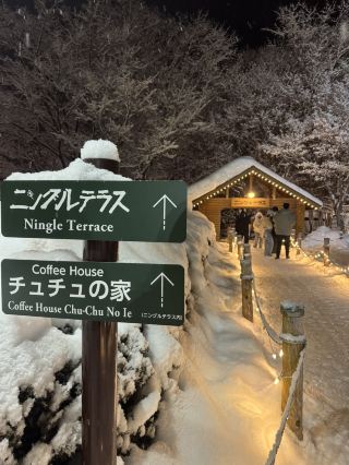 A Fairytale in the Forest: My Magical Visit to Ningle Terrace