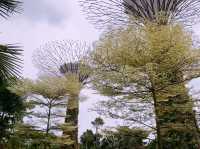 Singapore 1 Days Itinerary