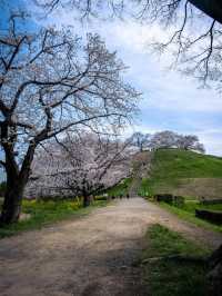 古代ロマンに浸る「さきたま古墳公園」で、歴史と自然を感じる旅