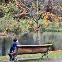 Christchurch Botanic Gardens: Where Flowers Bloom & Ducks Line Up Like It’s Black Friday!