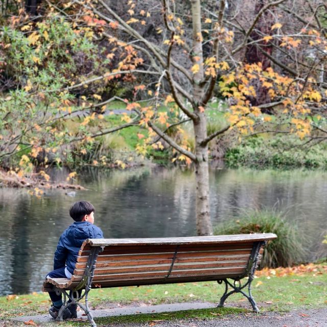 Christchurch Botanic Gardens: Where Flowers Bloom & Ducks Line Up Like It’s Black Friday!