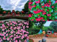 ภูเขาชิงซิ่ว "ปอดแห่งหนานหนิง" (Qingxiu Mountain) 