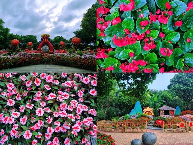 ภูเขาชิงซิ่ว "ปอดแห่งหนานหนิง" (Qingxiu Mountain) 