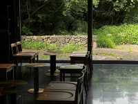🍵 Jeju Island: A Tranquil Escape to Osulloc Tea Museum!