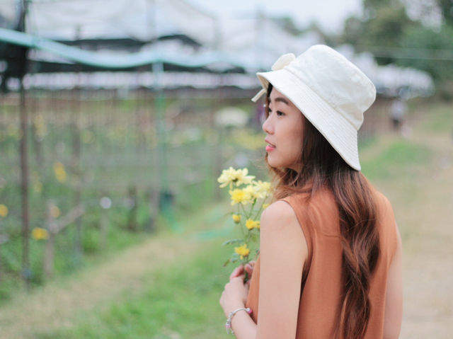 เที่ยวสวนบิ๊กเต้