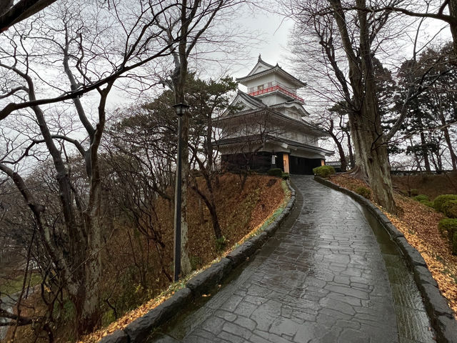 🌧️ Moody Skies Over Kubota Castle Ruins – A Quiet Slice of History