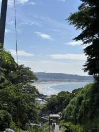 こんな景色が見れるなんて！日本の無人島と長谷寺あじさい