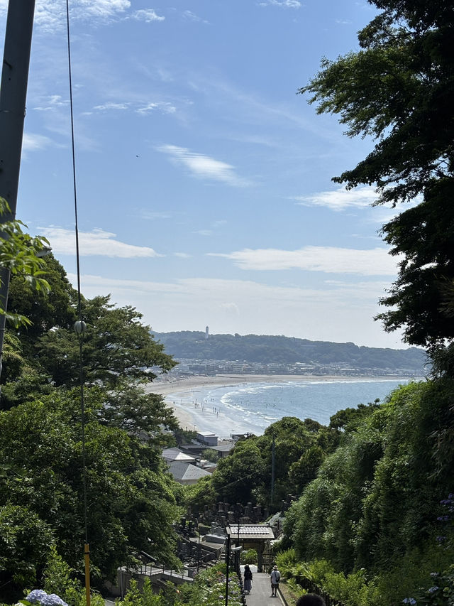 こんな景色が見れるなんて！日本の無人島と長谷寺あじさい