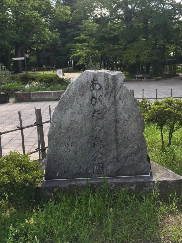 🌳長野・あがたの森公園（松本市）｜自然と歴史が調和する憩いのオアシス