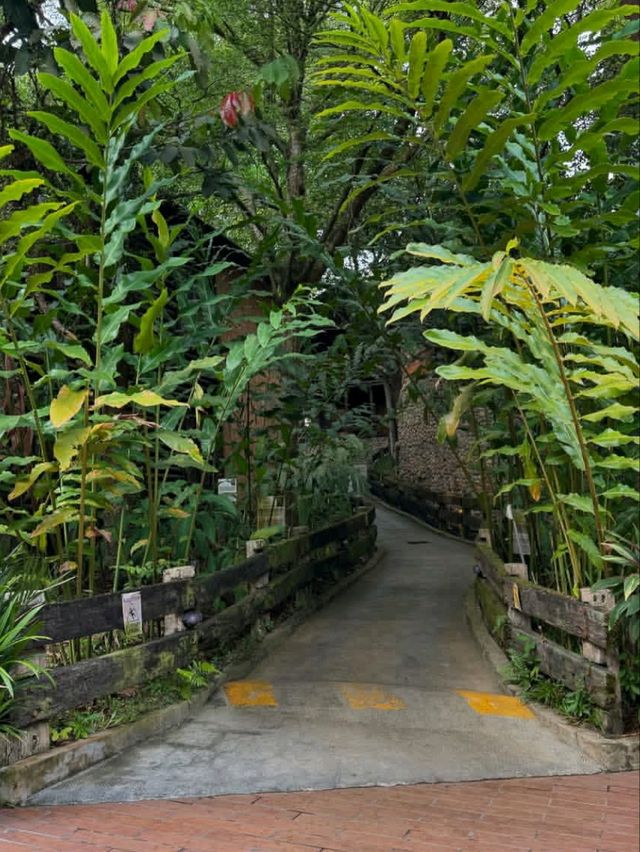 🍃✨ Philea Resort & Spa Melaka – Forest Feels with a Touch of Luxury! 🏡🌿