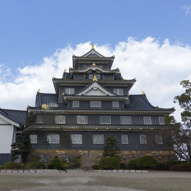 🏯 Okayama Castle – A Peaceful Climb to a Panoramic View