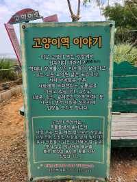🧡💙영흥도 고양이와 고양이역