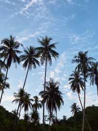 เที่ยวชุมพร