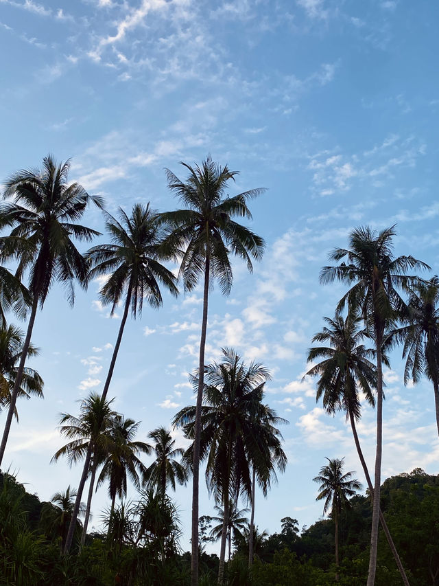 เที่ยวชุมพร