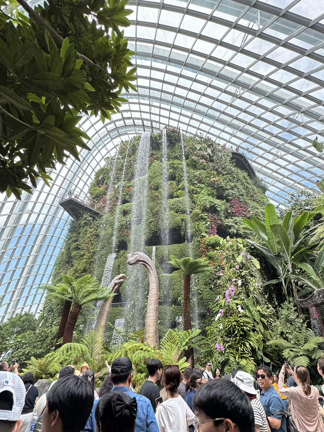 싱가포르 여행 꿀팁 🍯🇸🇬