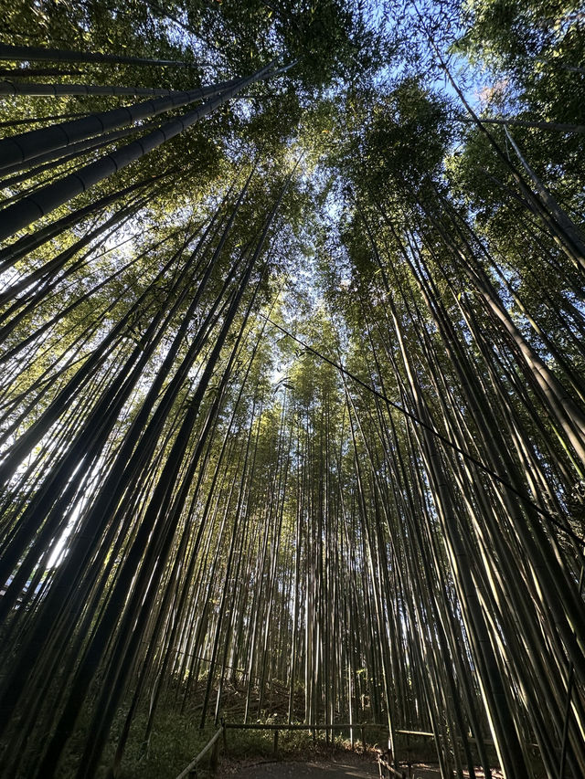 適合放風的景觀