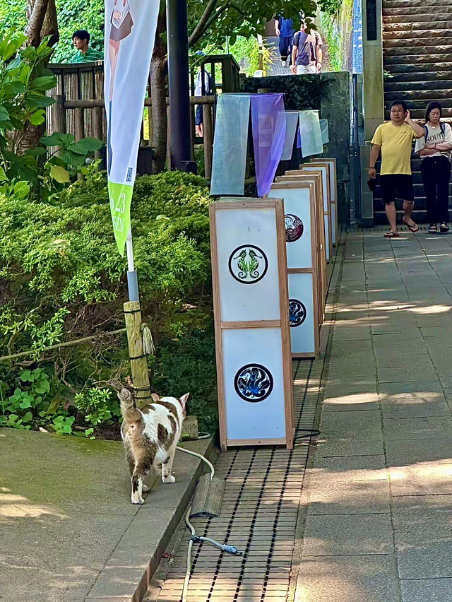 โอซาก้า🇯🇵