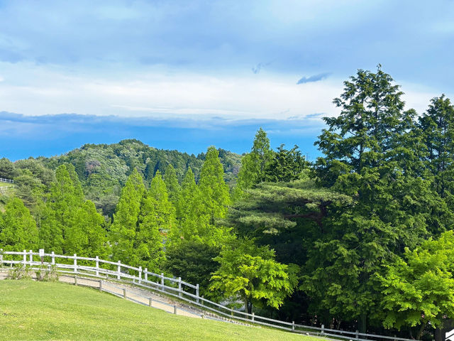 Rokkō Mountain Pasture: This Place is Seriously Like an Anime! 🐐🌸
