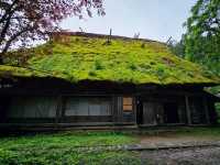 白川鄉合掌村太遠！！那就去飛驒之里吧！🏡✨