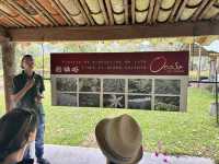 【Ocaso Coffee House｜Finca El Ocasoのコーヒーツアー】