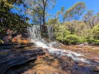 🏞️【青い霧に包まれる絶景】ブルー・マウンテンズで深呼吸する旅