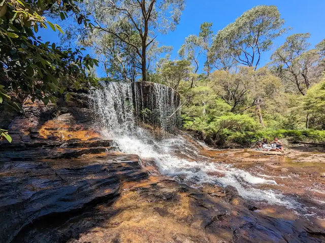 🏞️【青い霧に包まれる絶景】ブルー・マウンテンズで深呼吸する旅