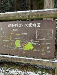 津和野城跡（需搭纜車）