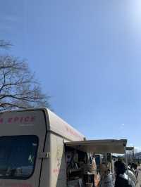 【滋賀🇯🇵】年2回開催のコーヒフェスとは？！☕️