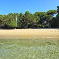Koukounaries Beach, Skiathos
