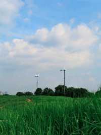 Sky Park
