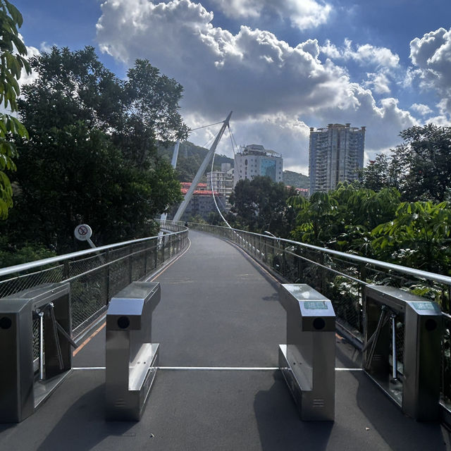  Harmony Bridge: Xiamen’s Skywalk Where Nature & Modern Design Embrace!