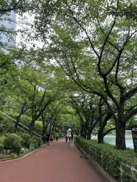 호수 산책로를 걸으며