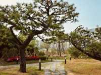 Dadaepo Beach Park, Busan: A Spacious Coastal Oasis for Families and Nature Lovers