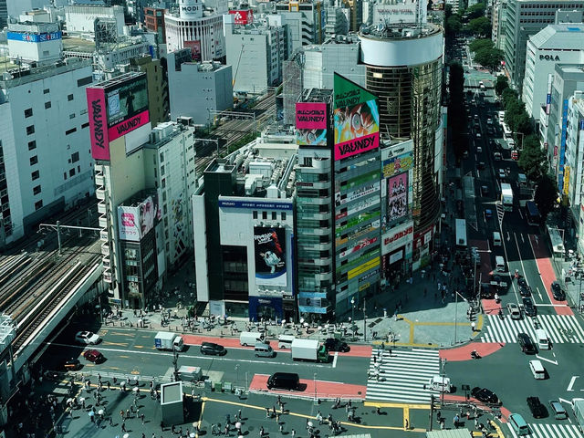 Stunning Views at SHIBUYA SKY