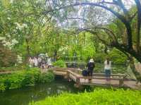 I came to this garden in Suzhou, and I was stunned by its beauty