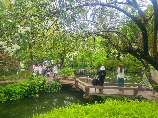 I came to this garden in Suzhou, and I was stunned by its beauty