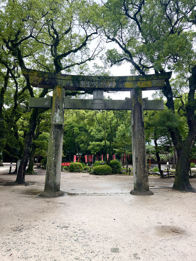 후쿠오카 도심 속 자리한 유서 깊은 신사 ⛩️