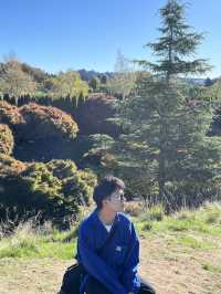 🌲陶波秘境公園｜Centennial Park 小眾森林系散步地，超出片還沒人